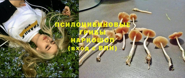 mdpv Зерноград